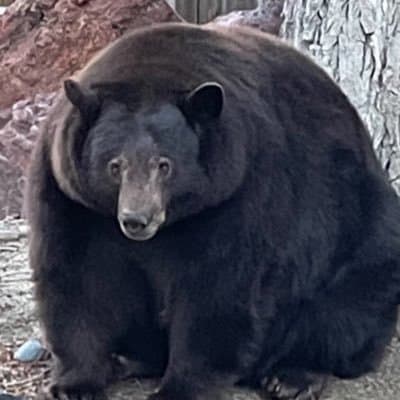 Hank Tucker's profile picture
