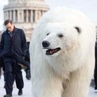 John Thornhill's profile picture